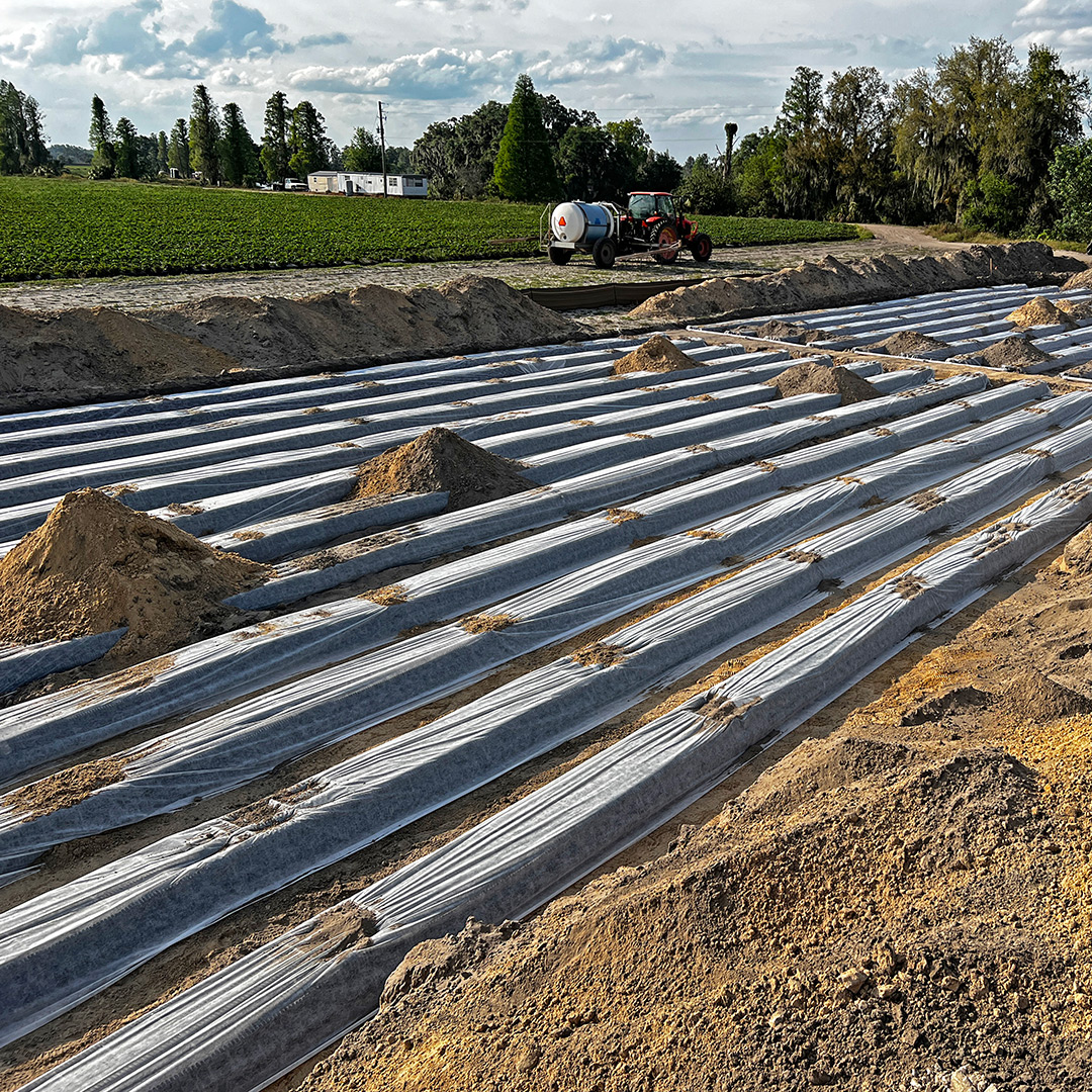 Septic Tank Replacement Services: Why Delays Cost