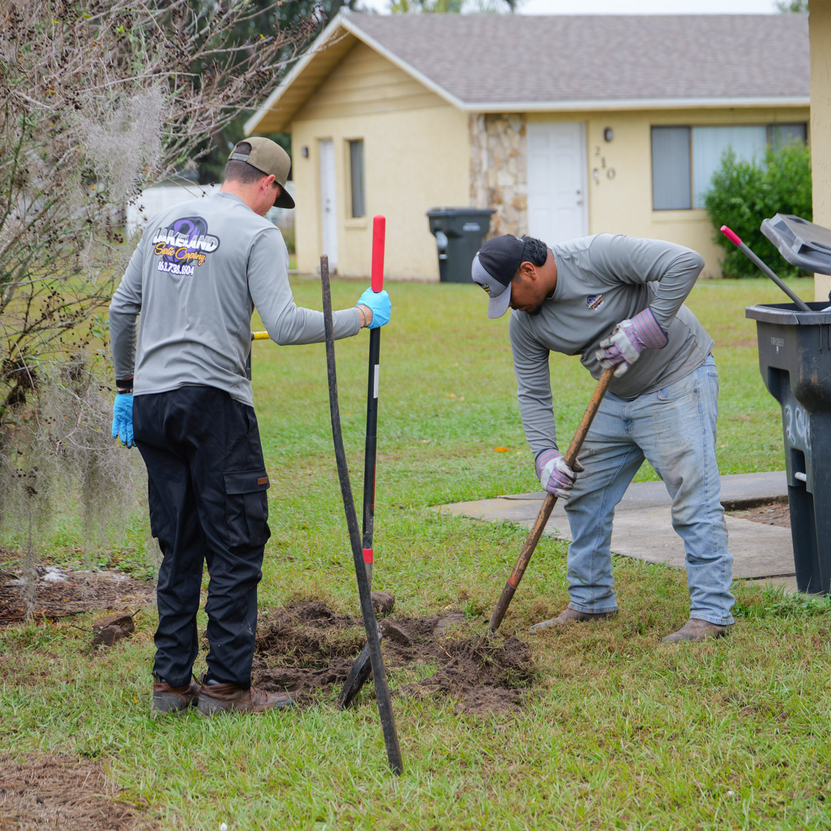 professional septic repairs in lakeland FL