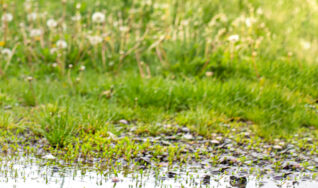 septic system repairs in lakeland fl