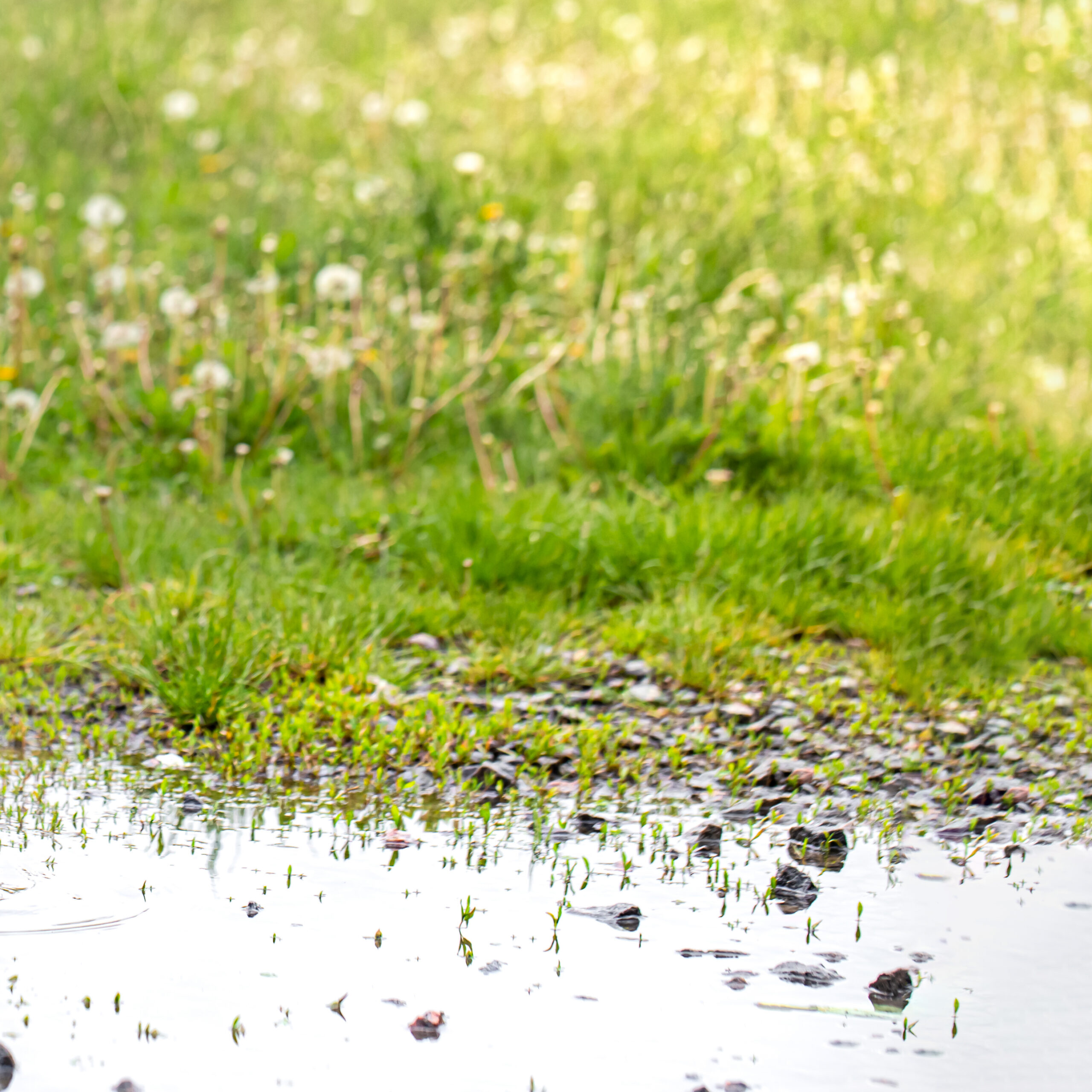 septic system repairs in lakeland fl